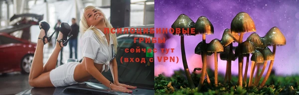 кокс Нягань