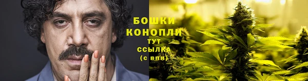 каннабис Новодвинск
