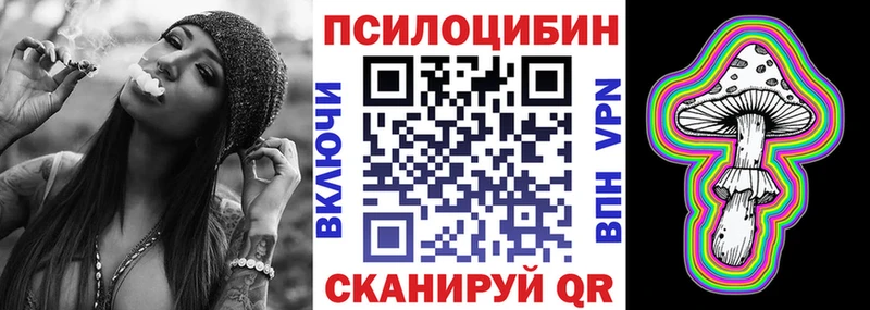 Галлюциногенные грибы Psilocybe Богданович