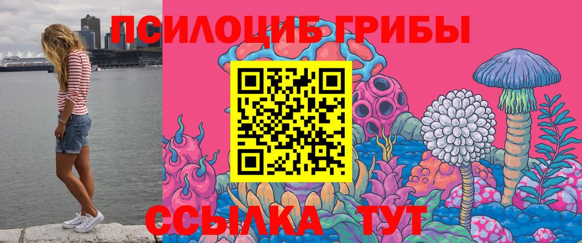 Галлюциногенные грибы прущие грибы  Богданович  Псилоцибиновые грибы Cubensis 