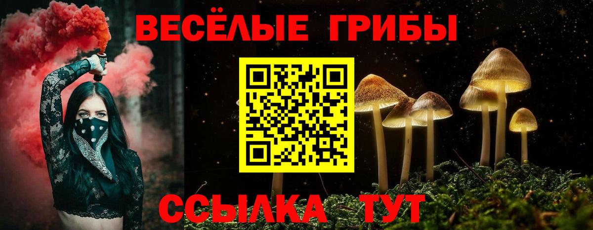 Галлюциногенные грибы GOLDEN TEACHER Богданович