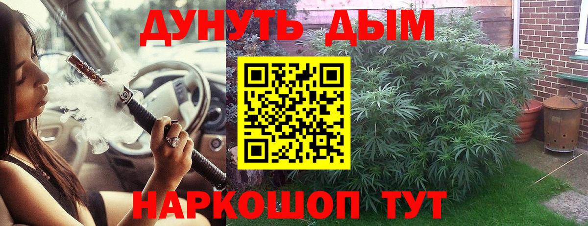 Канабис Ganja  Богданович  Бошки марихуана гибрид  Конопля планчик 